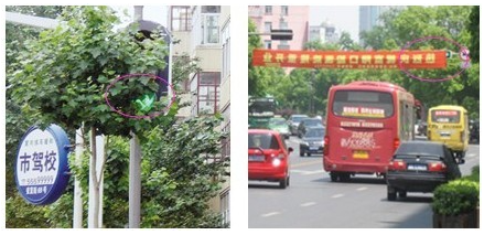 2024新澳门历史记录查询305期