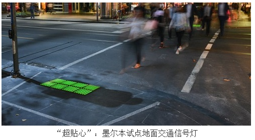 2024新澳门历史记录查询305期