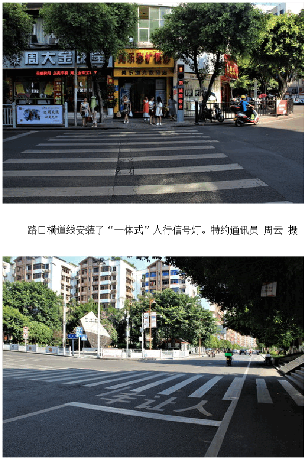 2024新澳门历史记录查询305期
