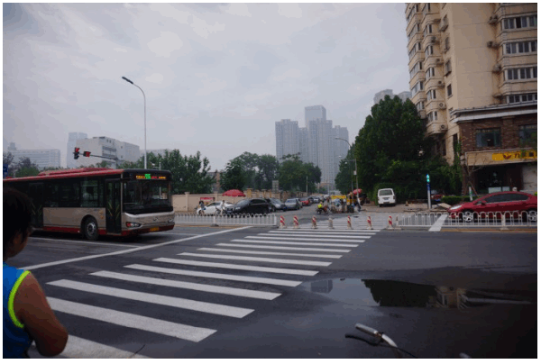 2024新澳门历史记录查询305期