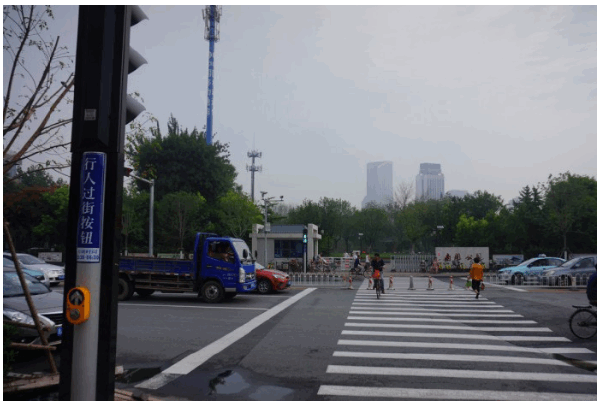 2024新澳门历史记录查询305期