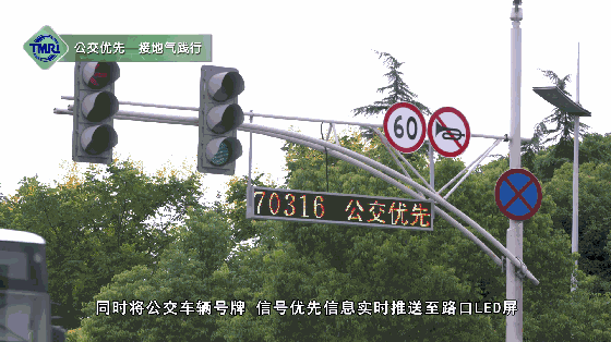 2024新澳门历史记录查询305期