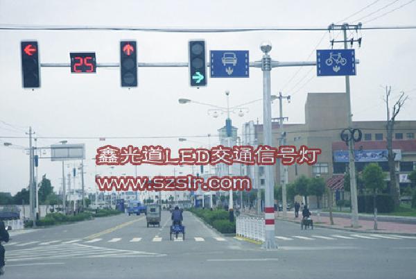 2024新澳门历史记录查询305期