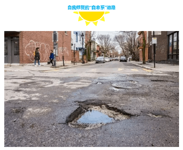 2024新澳门历史记录查询305期