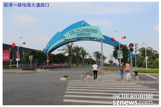 2024新澳门历史记录查询305期