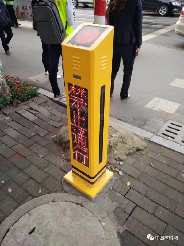 2024新澳门历史记录查询305期