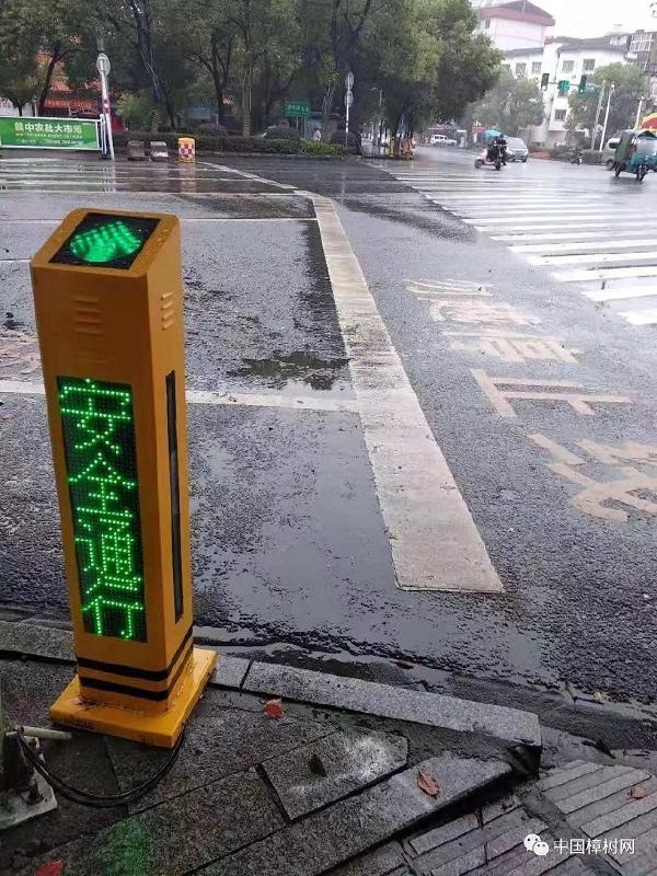 2024新澳门历史记录查询305期