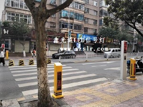 2024新澳门历史记录查询305期