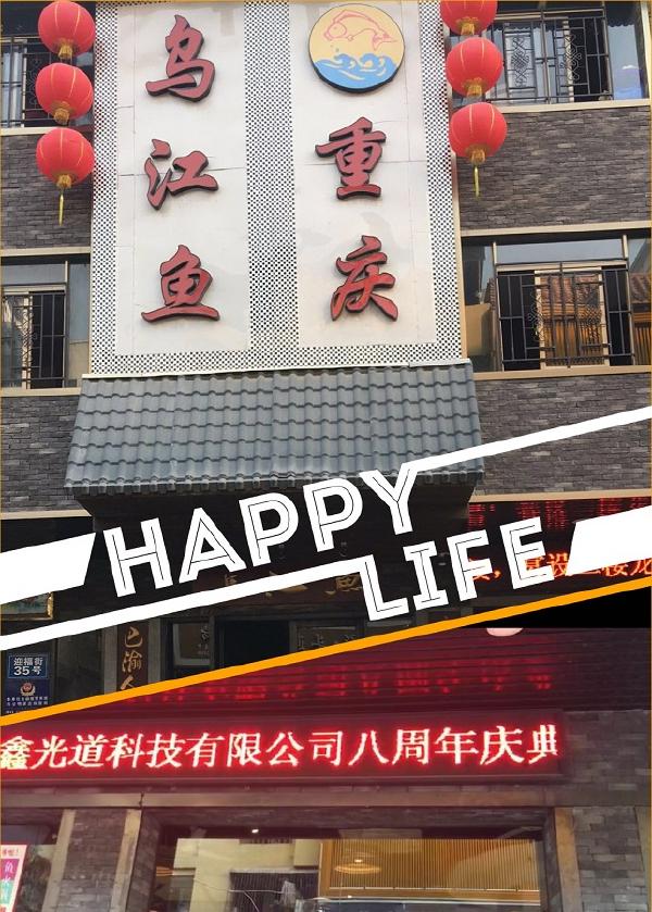2024新澳门历史记录查询305期
