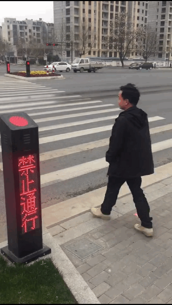 2024新澳门历史记录查询305期