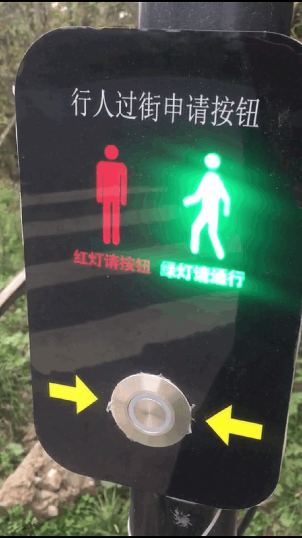 2024新澳门历史记录查询305期