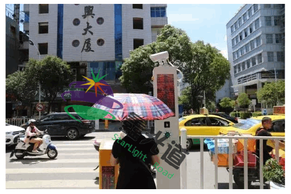 2024新澳门历史记录查询305期