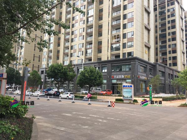 2024新澳门历史记录查询305期