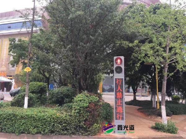 2024新澳门历史记录查询305期