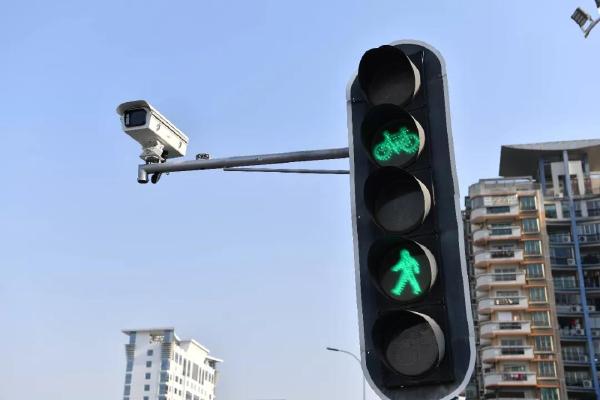 2024新澳门历史记录查询305期