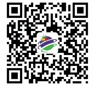 2024新澳门历史记录查询305期