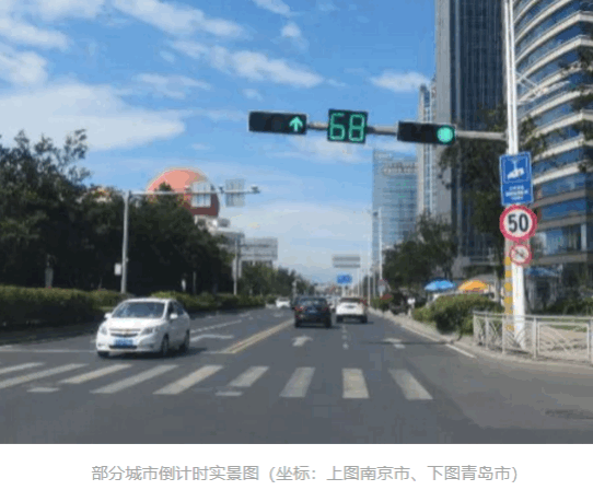 2024新澳门历史记录查询305期