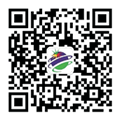 2024新澳门历史记录查询305期