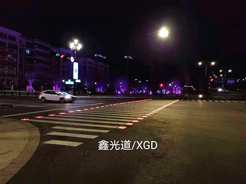 2024新澳门历史记录查询305期