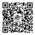 2024新澳门历史记录查询305期
