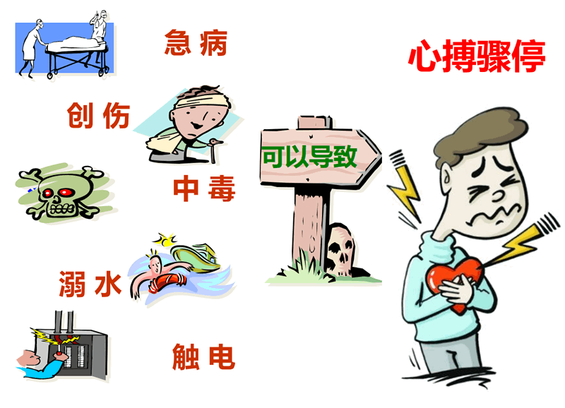 2024新澳门历史记录查询305期