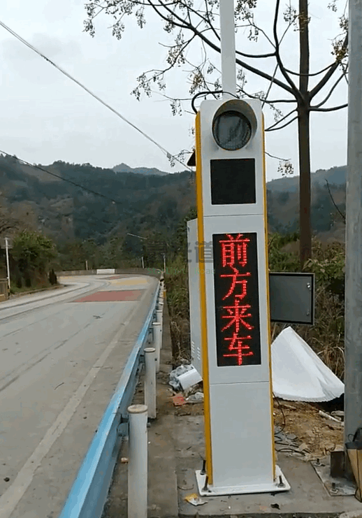 2024新澳门历史记录查询305期
