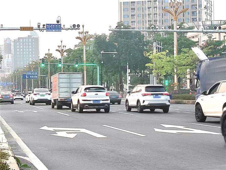 2024新澳门历史记录查询305期